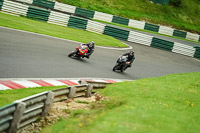 cadwell-no-limits-trackday;cadwell-park;cadwell-park-photographs;cadwell-trackday-photographs;enduro-digital-images;event-digital-images;eventdigitalimages;no-limits-trackdays;peter-wileman-photography;racing-digital-images;trackday-digital-images;trackday-photos